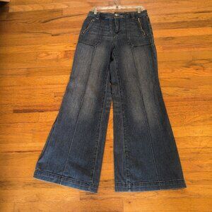 PILCRO High Rise Wide Leg Jeans 31 Waist Medium Wash